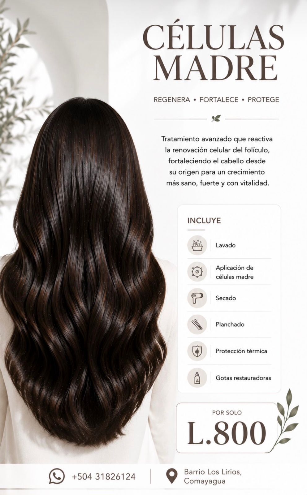 Promoción Células Madre — regenera, fortalece y protege · L.800