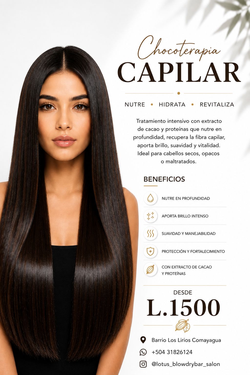 Promoción Chocoterapia Capilar — nutre, hidrata y revitaliza · desde L.1,500